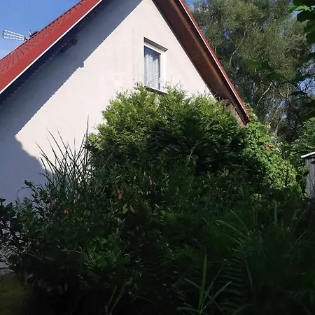 Darkowka Dobczyce